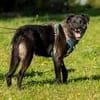 aktiver OREO sucht erfahrene Menschen
