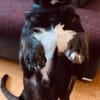 aktiver OREO sucht erfahrene Menschen