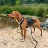 Anton ~1/25 m  such zuhause zum verliebe