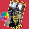 aktiver Sam auf PS in 90571 Schwaig