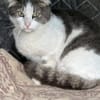 Odin m ~ 2 Jahre