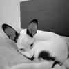 Betsy la douce