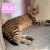 UNO / DUE / TRE / QUATTRO / CINQUE