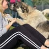 Pechino sucht Patenschaft