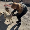 Herzenshund Snoopy sucht Zuhause
