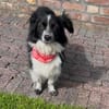 Kleine Emma sucht Zuhause