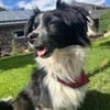 Kleine Emma sucht Zuhause