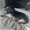Kleine Emma sucht Zuhause