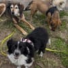 Kleine Emma sucht Zuhause