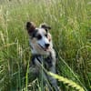 Yuna  vom Sorgenkind zum Sonnenschein