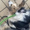 Yuna  vom Sorgenkind zum Sonnenschein
