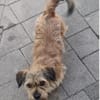 Tony° in 86529 Schrobenhausen