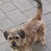 Tony° in 86529 Schrobenhausen