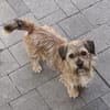 Tony° in 86529 Schrobenhausen