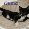 OUMA