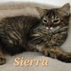 SIERRA
