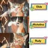 Elide  - Michelino - Rudy