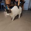 Gemütliche Frida sucht ihr Traumzuhause