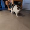 Gemütliche Frida sucht ihr Traumzuhause