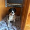 ❤Malika❤ sucht ihre Familie