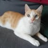 Nemo und Pack suchen zusammen