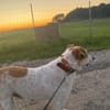 Hallo, ich bin Kalle