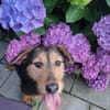Ella, kleine, selbstbewußte Zaubermaus