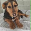 Ella, kleine, selbstbewußte Zaubermaus