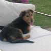 Ella, kleine, selbstbewußte Zaubermaus