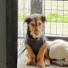 Ella, kleine, selbstbewußte Zaubermaus