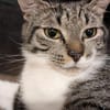 Connor sucht einen Kumpel zum Toben