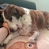 Tilda - liebenswerte Seniorin
