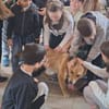 Dömper sucht ein Zuhause