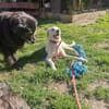 Bacio möchte Ihnen Freude bereiten