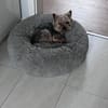 Nevan