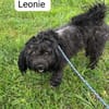 Leonie sucht ihre Familie