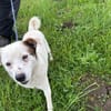 Yuki sucht sein Für-immer-Zuhause