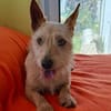 Kiko - der kleine Lausbub :-)