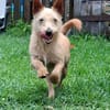 Kiko - der kleine Lausbub :-)