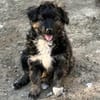 Kleine Lena sucht ihre Familie