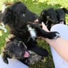 Kleine Lena sucht ihre Familie