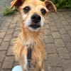 Pflegesenior Jonas wartet in Meerbusch!