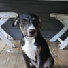 Darwin, le bébé calin