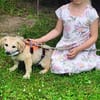Kleine Lara sucht liebevolle Menschen!
