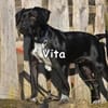 VITA