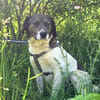 Leonie ist ein absoluter Schatz