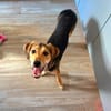 Tolle, liebenswerte, aktive Ariel sucht