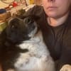 Aira, stubenreine Kuschelpartnerin, 5 J.
