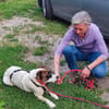 🌿 Sensibler Dallas sucht Dich🐶