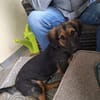 Kleine Paula sucht Familie